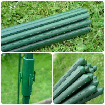 Plant Supports – Plant Stakes & Garden Canes - Garden Plant Stakes - 0.75m (pack of 10)
