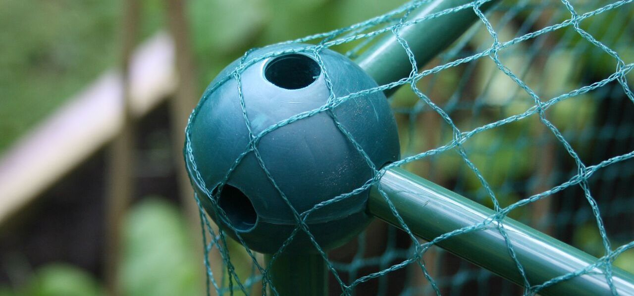 GYO Expert - Fruit Cages Guide - Build-a-Ball