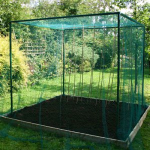 Fruit Cages - Walk In Fruit Cages – Walk In Fruit Cages (No Door) - Walk-In Fruit Cage – 2m x 2m x 2m high