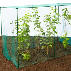 Fruit Cages - Build-a-Cages - Build-a-Cage Fruit Cage with Bird Net (1.875m high)