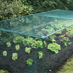 Fruit Cages - Build-a-Cages - Build-a-Cage Fruit Cage with Bird Net (0.625m high)
