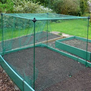 Fruit Cages - Budget Cages - Frame Only Cages - No-Frills Fruit & Veg Cage Frame Only – 1.6m high (Various Sizes)
