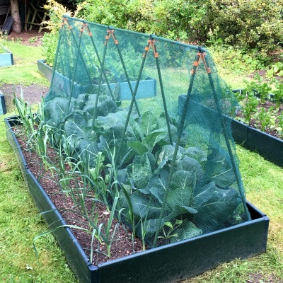 Cloches & Tunnels – Pop Up Triangle Cloches – Super Cloche Strawberry Protection Cage with Bird Netting - 2.4m x 0.75m x 1m high