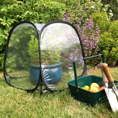 Fruit Cages - Pop Up Cages – Poly Cages - MiniPol Pop Up Mini Greenhouse - 50 x 50 x 50cm