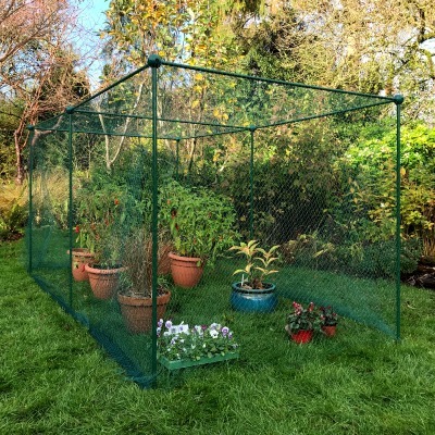 Fruit Cages - Build-a-Cage Fruit Cage with Bird Net (1.25m high)