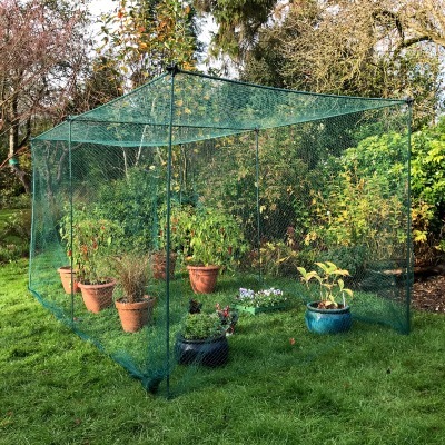 Fruit Cages - Budget Cages - Butterfly Net Cages - No-Frills Fruit & Veg Cage with Butterfly Net – 1m high (Various Sizes)