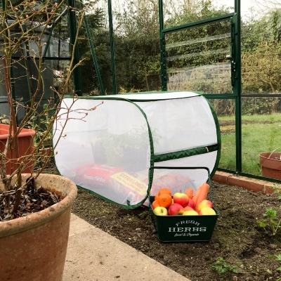 Fruit Cages - Pop Up Fruit Cages - Pop-Up Insect Net Grow Bag Crop Cage – 1.1m L x 0.45m W x 0.55m H