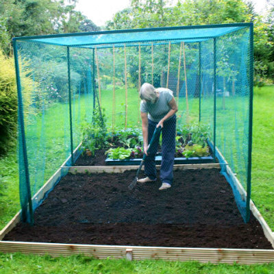 Fruit Cages - Walk-In Fruit Cage – 6m x 2m x 2m high
