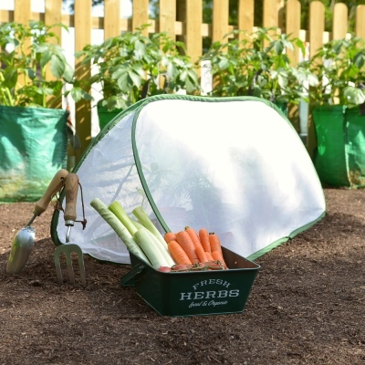 Cloches & Tunnels – Pop Up Triangle Cloches – Insect Net Cloches - Pop-Up Insect Net Cloche – small (1m long x 0.4m wide x 0.4m high)