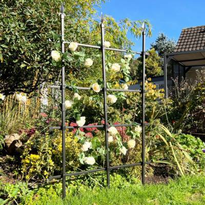 Plant Supports – Garden Trellis & Climbing Plant Support 6ft / 180x150cm H