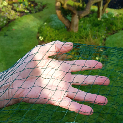 Netting & Fleece – Bird Netting - Bird Netting – 8m Wide (Various Sizes)